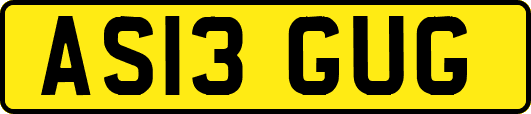 AS13GUG
