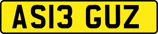 AS13GUZ