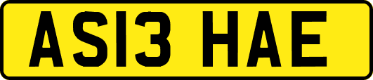 AS13HAE