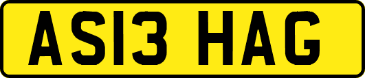 AS13HAG