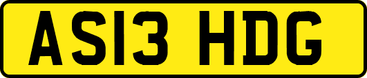 AS13HDG