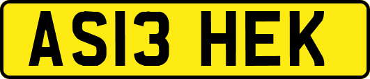 AS13HEK