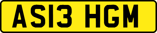 AS13HGM