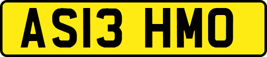 AS13HMO