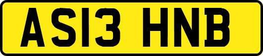 AS13HNB