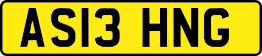 AS13HNG