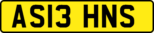AS13HNS