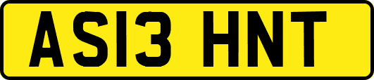 AS13HNT