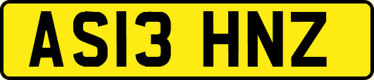 AS13HNZ