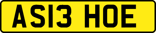 AS13HOE