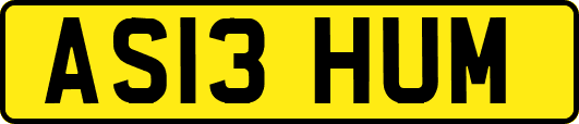 AS13HUM
