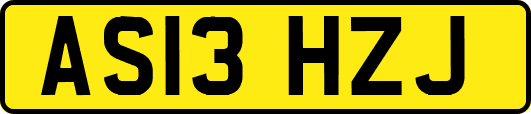 AS13HZJ
