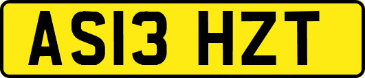 AS13HZT