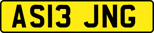 AS13JNG