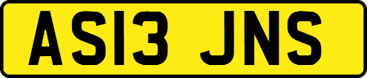 AS13JNS