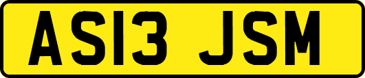 AS13JSM