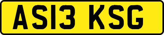AS13KSG