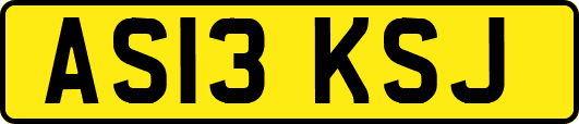 AS13KSJ