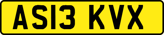 AS13KVX