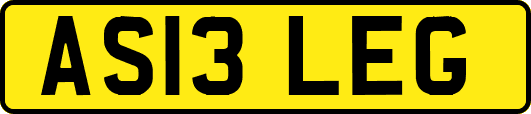 AS13LEG