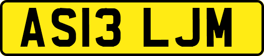 AS13LJM