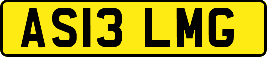 AS13LMG