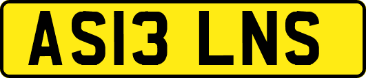 AS13LNS