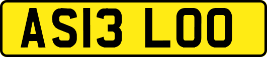 AS13LOO