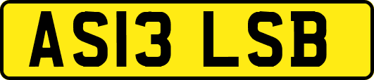 AS13LSB