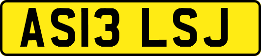 AS13LSJ