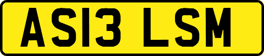 AS13LSM
