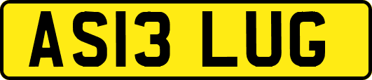 AS13LUG