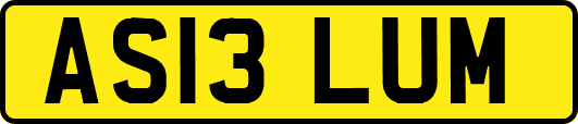 AS13LUM