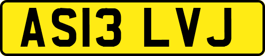 AS13LVJ
