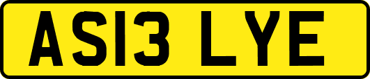 AS13LYE