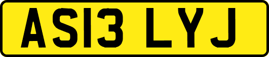 AS13LYJ