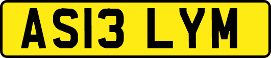 AS13LYM