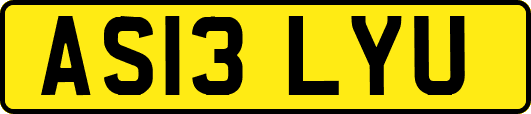 AS13LYU