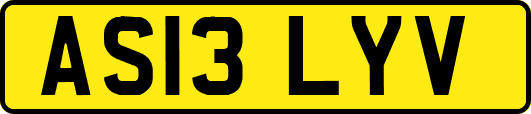 AS13LYV