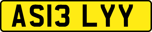 AS13LYY