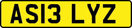 AS13LYZ
