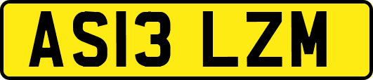 AS13LZM