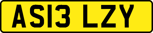 AS13LZY