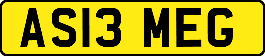 AS13MEG