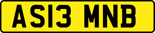 AS13MNB