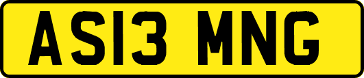 AS13MNG