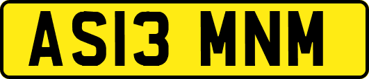 AS13MNM