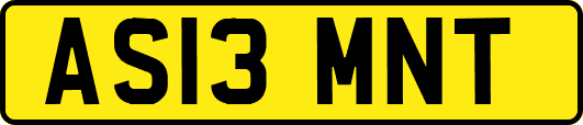 AS13MNT