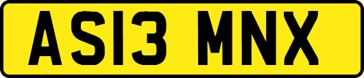 AS13MNX