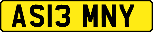 AS13MNY